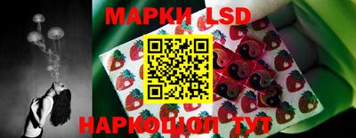 ПСИЛОЦИБИНОВЫЕ ГРИБЫ Рязань